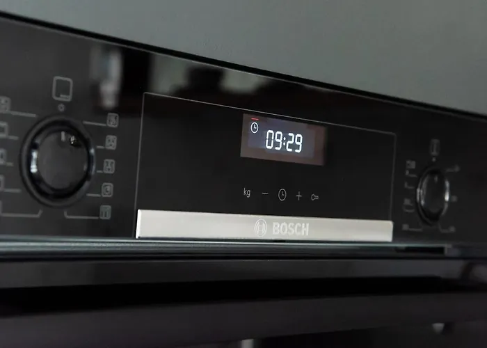 Wola Artistic Designer By Bookinghost