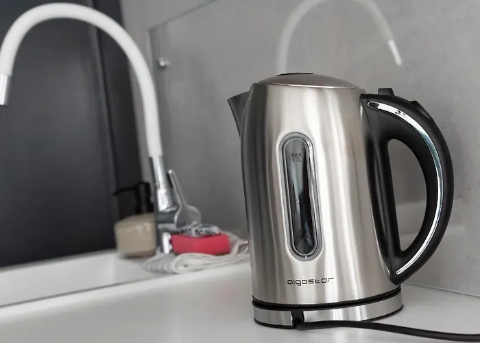 Wola Artistic Designer By Bookinghost